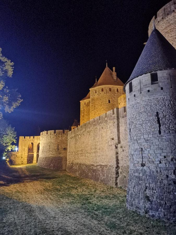 Gite Carcasso Carcassonne Dış mekan fotoğraf