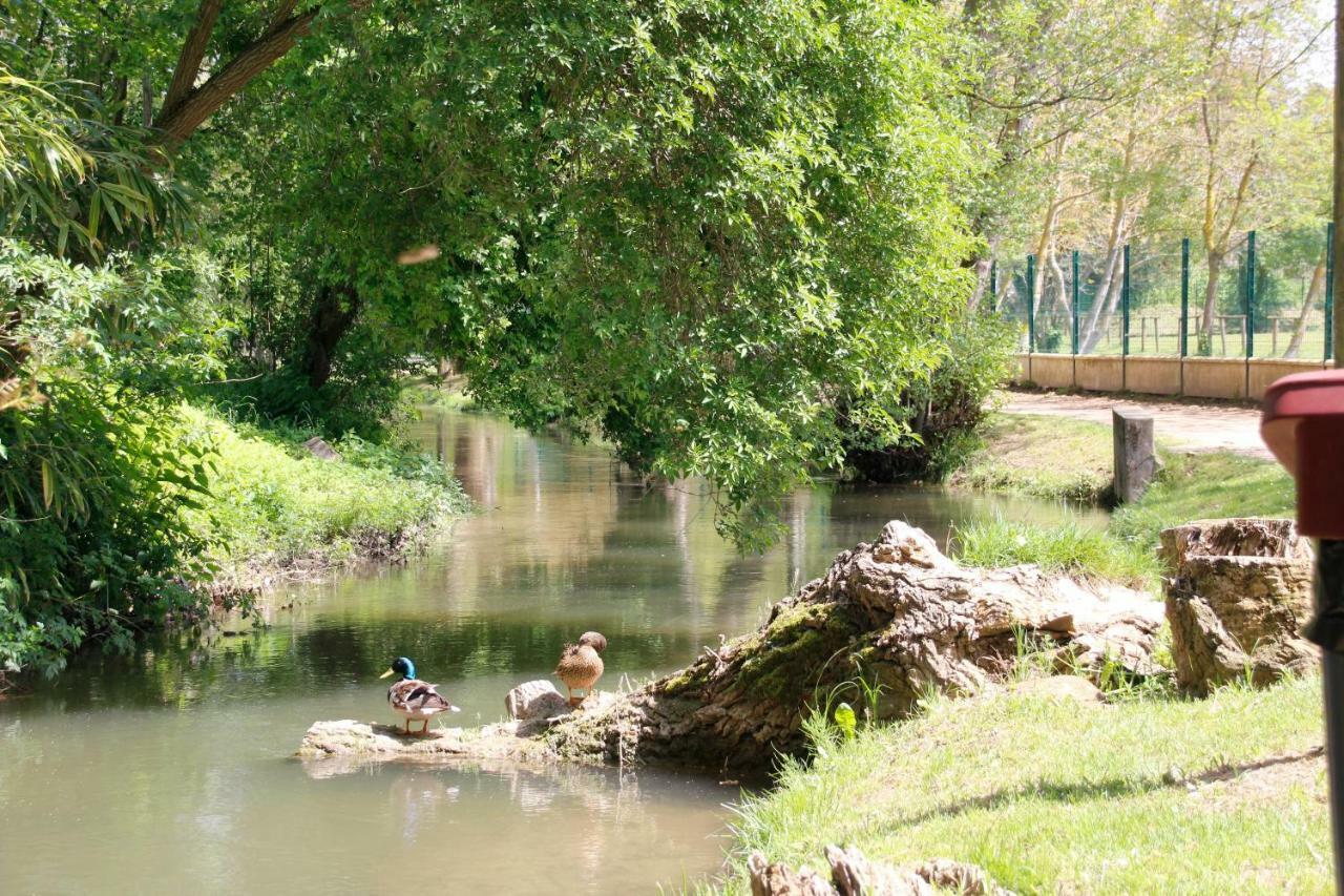 Gite Carcasso Carcassonne Dış mekan fotoğraf